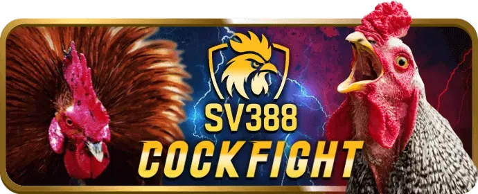 Các chương trình khuyến mãi và ưu đãi đặc biệt của 888bet chính thức năm 2026